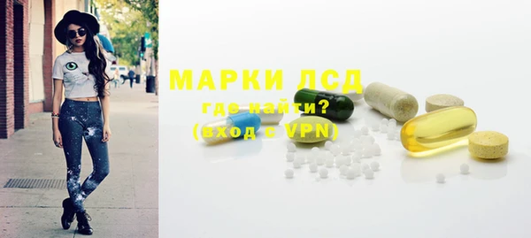 гидра Белокуриха