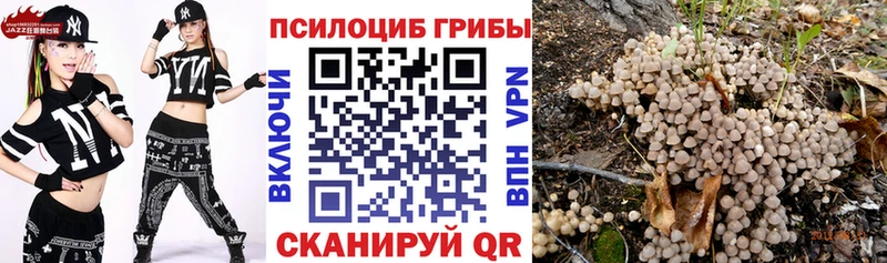 Псилоцибиновые грибы MAGIC MUSHROOMS  где найти наркотики  Задонск 